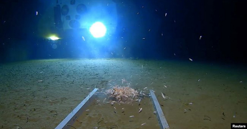 Palung Mariana Sampah Plastik